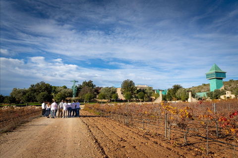 Alicante: Premium Winery: Guided tour with 6 tastings and a special gift
