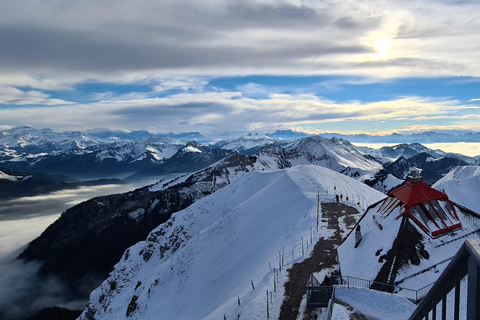 Von Montreux, Bern oder Freiburg: Gruyères Region TOUR