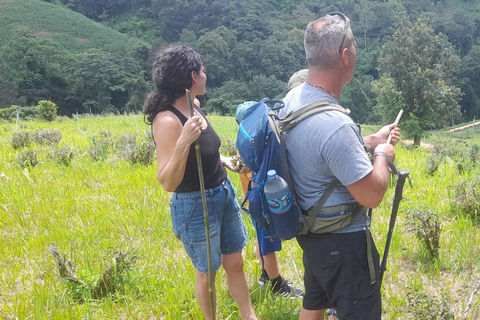 1 Day trekking : Chiang Rai popular activity,Fun in Nature.