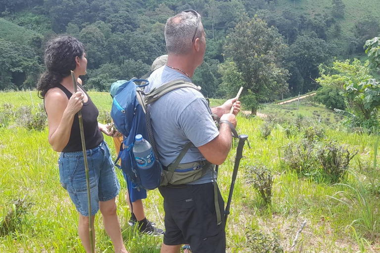 1 Day trekking : Chiang Rai popular activity,Fun in Nature.