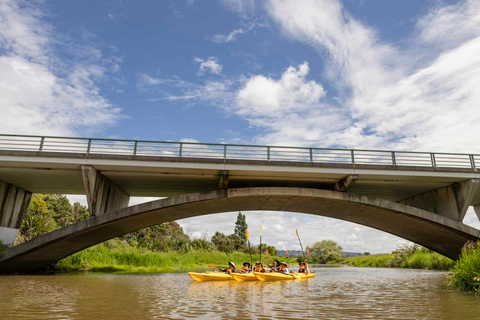 Hallertau Clevedon Kayak Tour