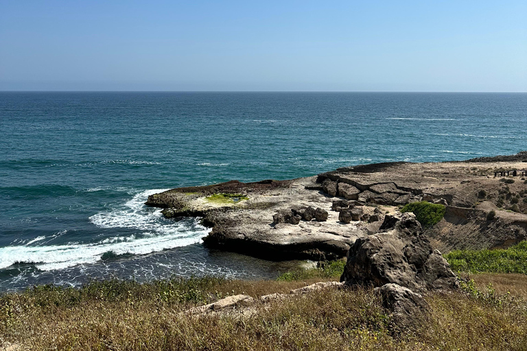 Salalah: Full-Day City Tour with Western Coast Highlights