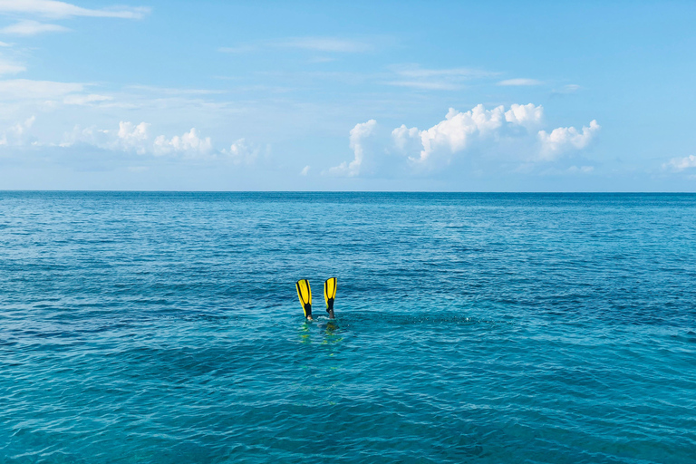 Snorkeling on the Côte Bleue
