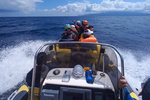 AUSFLUG NACH CORVO MIT DEM BOOT