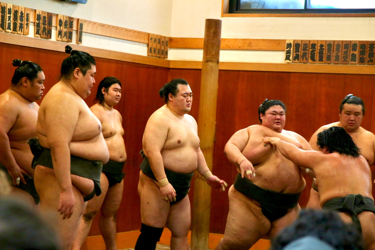 Tokyo: Sumo Morning Practice & Behind-the-Scenes Access