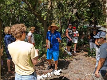 São Petersburgo: Passeio pela história do local da selva Prada