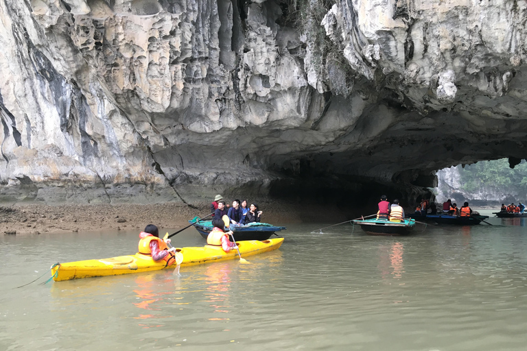 Depuis Hanoi : Croisière dans la baie d&#039;Halong avec déjeuner et transferts