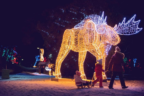 Vanuit Toronto: Winter Lichtjesfestival Niagara Falls TourTour met reis achter de watervallen en Skylon Tower