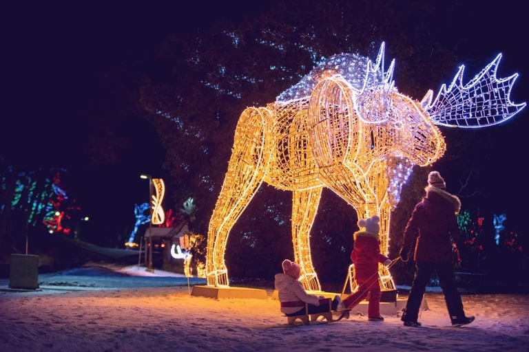 Desde Toronto: Excursión al Festival de Invierno de las Luces de las Cataratas del NiágaraRecorrido estándar con traslado