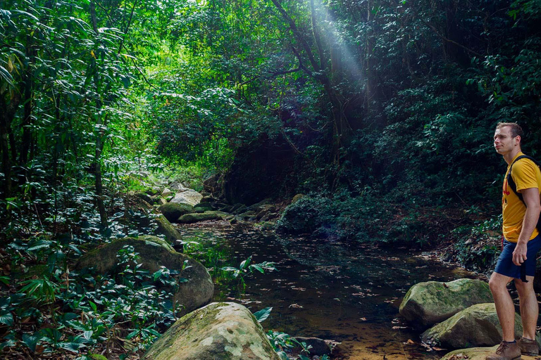 Amazon Jungle Night Hike