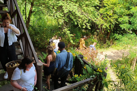 Kulen Elephant Forest and Tonle Sap Lake by Private tour