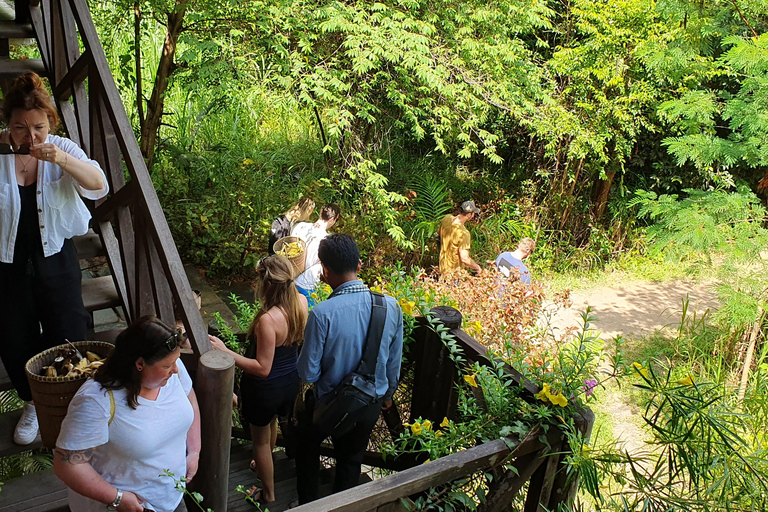 Kulen Elephant Forest and Tonle Sap Lake by Private tour