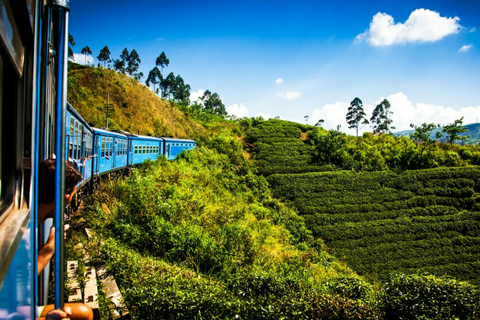 Kandy to Nanuoya Drop Trip & Morning (9.00) Ella Train Ride Kandy to Nanuoya Drop Trip & Morning Ella Train Ride by Tuk