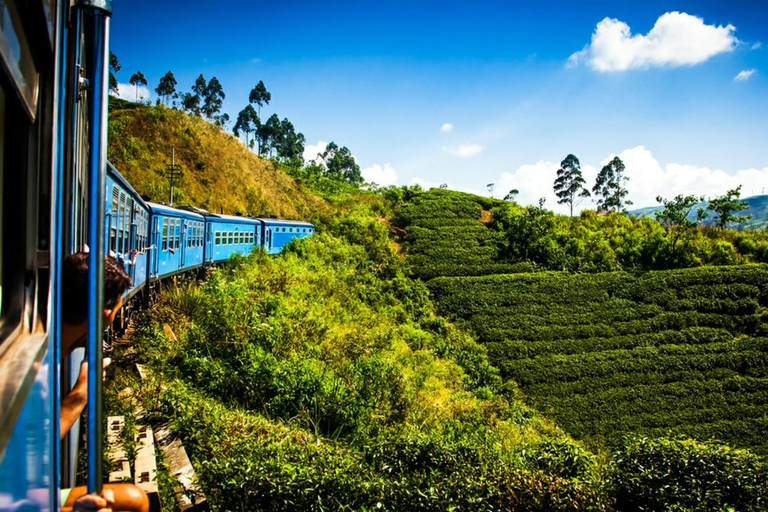 Kandy to Nanuoya Drop Trip & Morning (9.00) Ella Train Ride Kandy to Nanuoya Drop Trip & Morning Ella Train Ride by Tuk