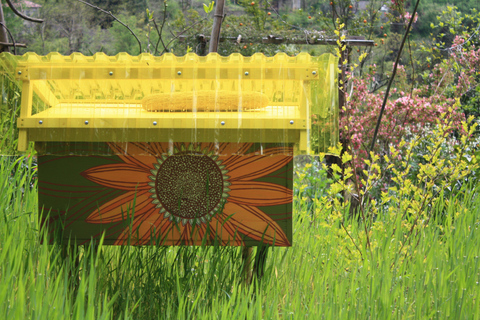 Batumi: Sweet Excursion and Mtirala Forest