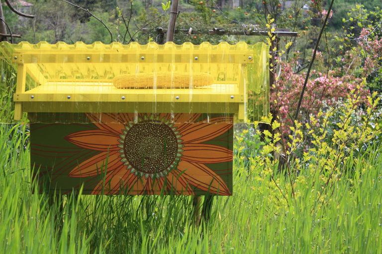 Batumi: Sweet Excursion and Mtirala Forest