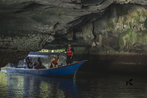 Langkawi: Sharing Mangrove Boat Tour 4 Hours