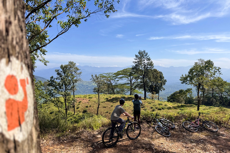 Kandy: Tea Plantations Cycling Tour with Local Bites