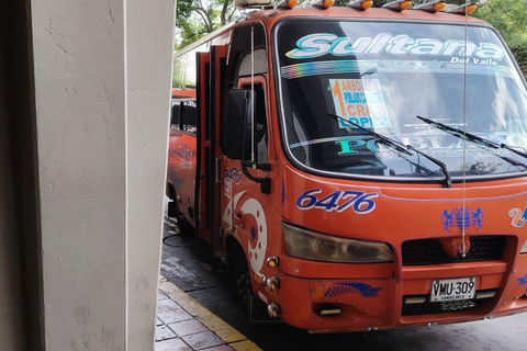 Cali: Explore the City Like a Local Using Public Transportation Cali: Explore the City Like a Local by Public Transportation.