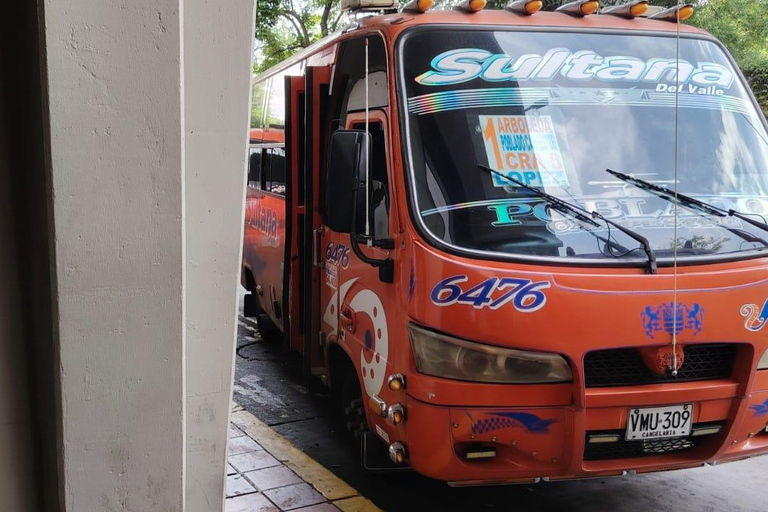 Cali: Explore the City Like a Local Using Public Transportation Cali: Explore the City Like a Local by Public Transportation.