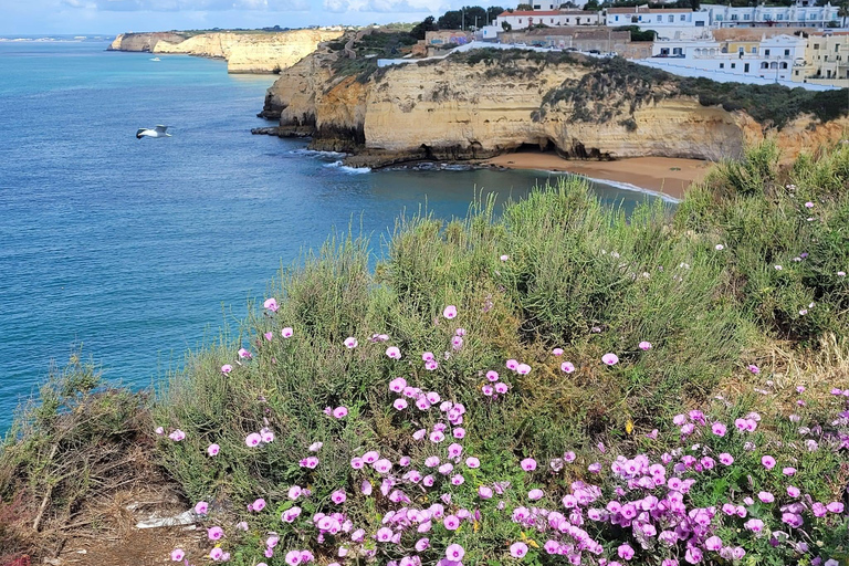 Da Lisbona: Escursione di un giorno in Algarve con crociera nelle grotte di Benagil