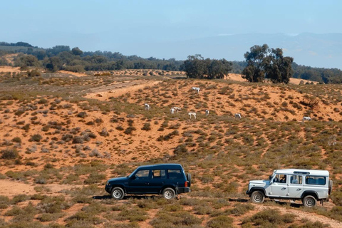 Souss Massa National Park Tour with Museum Visit & Lunch