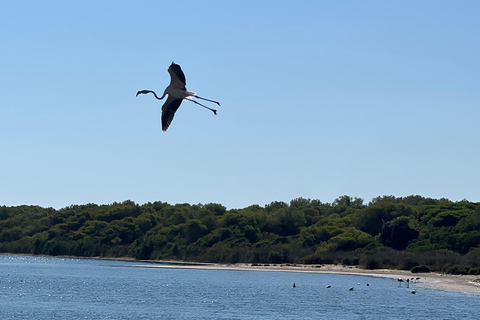 The Magic of the Albufera: Private Tour with Traditional Boat Ride
