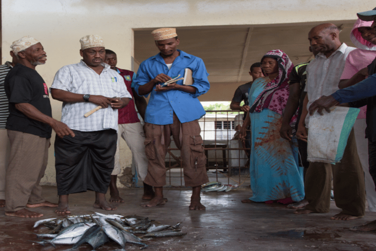 Zanzibar: Nungwi Village Tour, Jozani Forest and The Rock