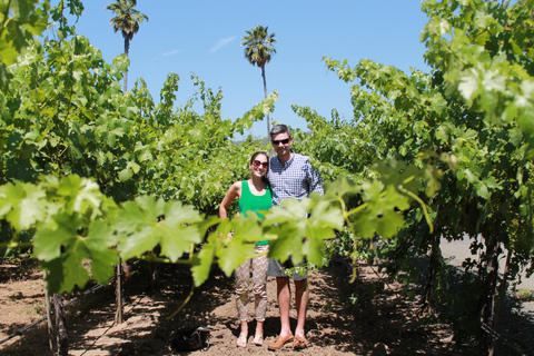 Sonoma Valley: Guided Winery Tour with Picnic Lunch