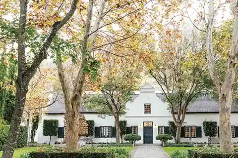 Cape Town: Premium Small Group Wine Tour with Tastings