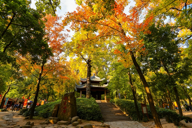 Autumn Hike: Explore Suzhou's Maple Trails from Shanghai