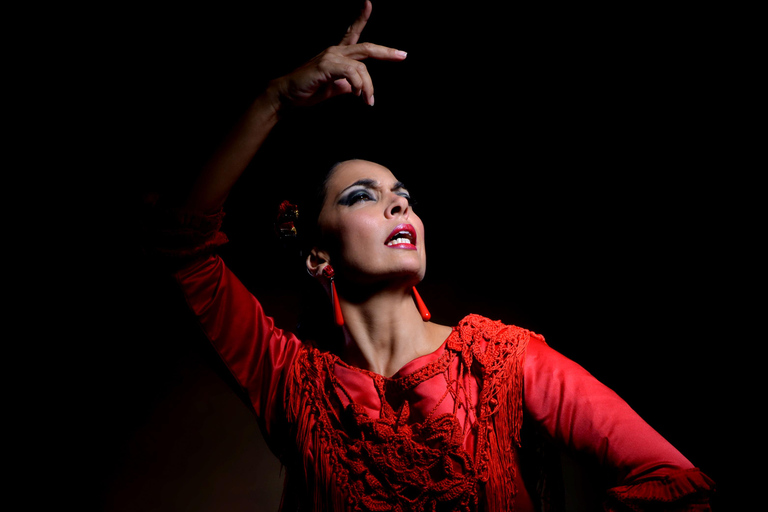 Granada: Flamenco Dance Class for Beginners at the Flamenco Theater Granada: Flamenco Dance Class for Beginners at Teatro Flamenco