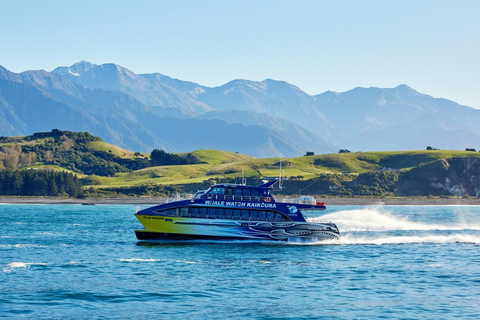 Christchurch: Kaikoura Whale Watching Day Tour Christchurch: Kaikoura Private Day Tour