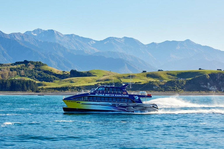 Christchurch: Kaikoura Whale Watching Day Tour Christchurch: Kaikoura Private Day Tour