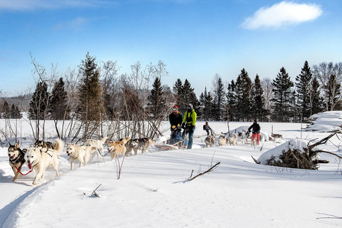 Quebec Excursión en trineo tirado por perros por el fiordo de Saguenay