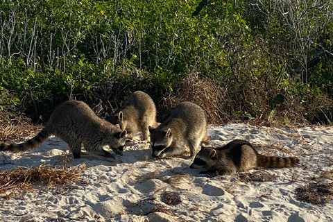 Flamingo Classic: Rio Lagartos and Las Coloradas