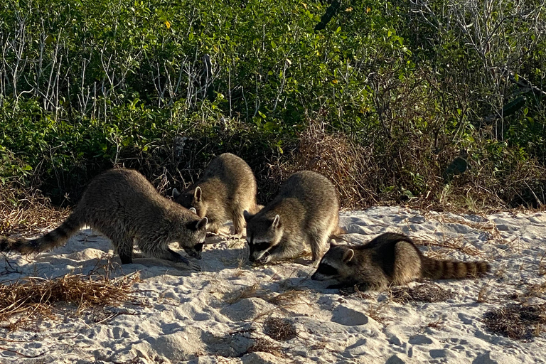 Flamingo Classic: Rio Lagartos and Las Coloradas