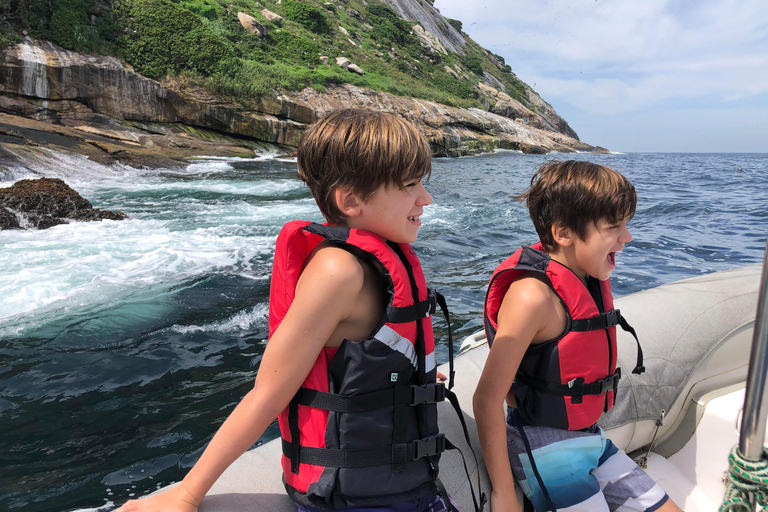 Rio: Schnorcheln & Schwimmen mit Schildkröten Tour auf den Tijuca Inseln3 Stunden Schnorcheln und Schwimmen mit Schildkröten Tour auf den Tijuca Inseln