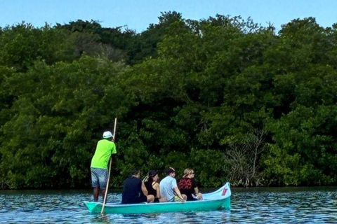 Visit Manzanillo mangroves + mini artisanal fishing class + beach club Visit mangroves in Manzanillo + mini artisanal fishing class + beach club
