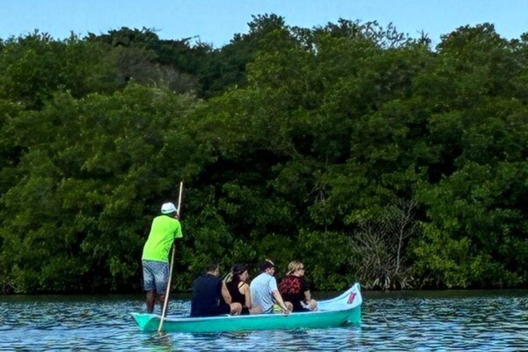 Visit Manzanillo mangroves + mini artisanal fishing class + beach club Visit mangroves in Manzanillo + mini artisanal fishing class + beach club