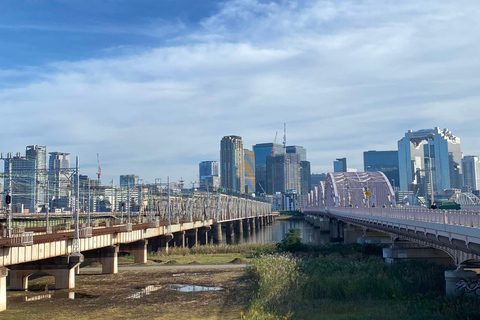 Urban Canvas: Osaka Street Art Bike Tour