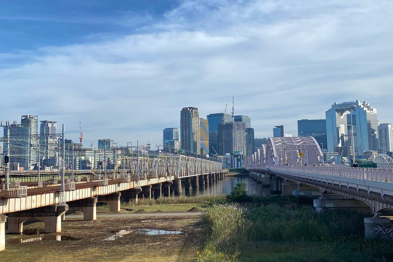 Urban Canvas: Osaka Street Art Bike Tour