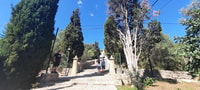 Mallorca, Cap & Cava - Formentor, Pollença, Lluc - Tour - Housity