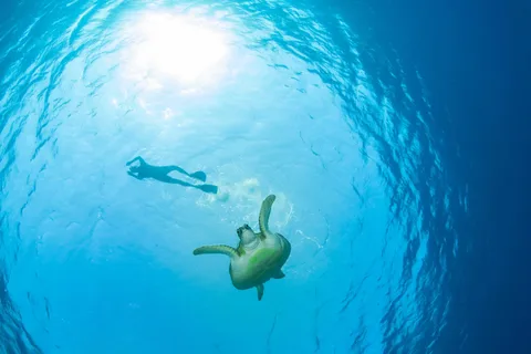 Ko Samui: Viagem de 1 dia para fazeres snorkeling em Ko Tao e Ko Nang Yuan