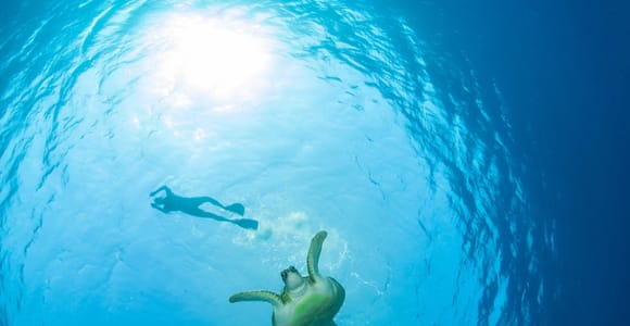 Ko Samui: Unique Ko Tao & Ko Nang Yuan Snorkeling Day Trip