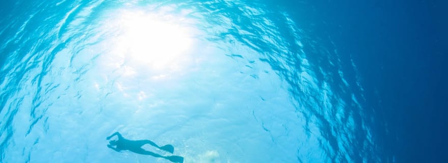Ko Samui : Excursion d'une journée à Ko Tao et Ko Nang Yuan pour faire de la plongée avec tuba