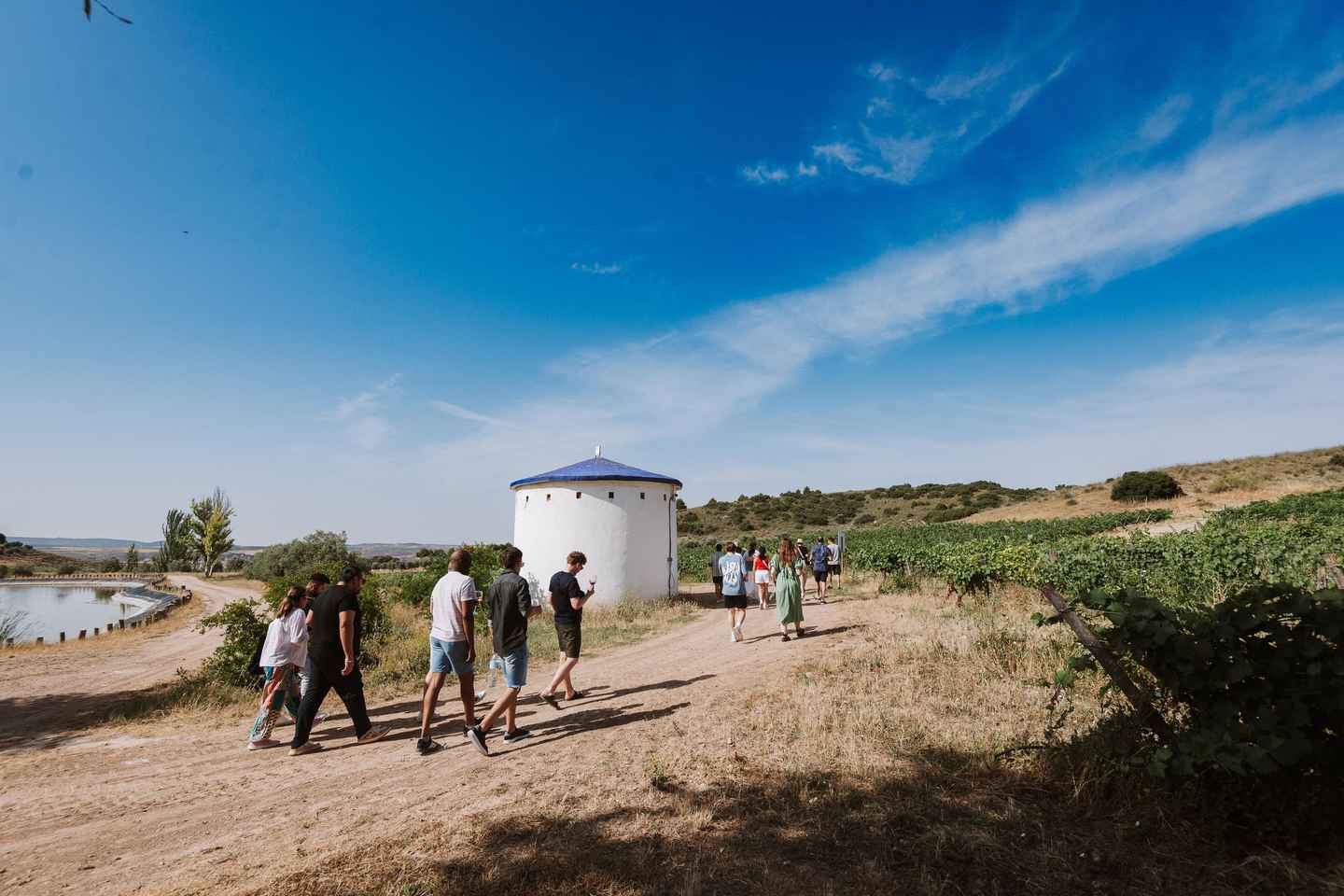 Visite Guidée et Dégustation des Vins Régionaux de Madrid