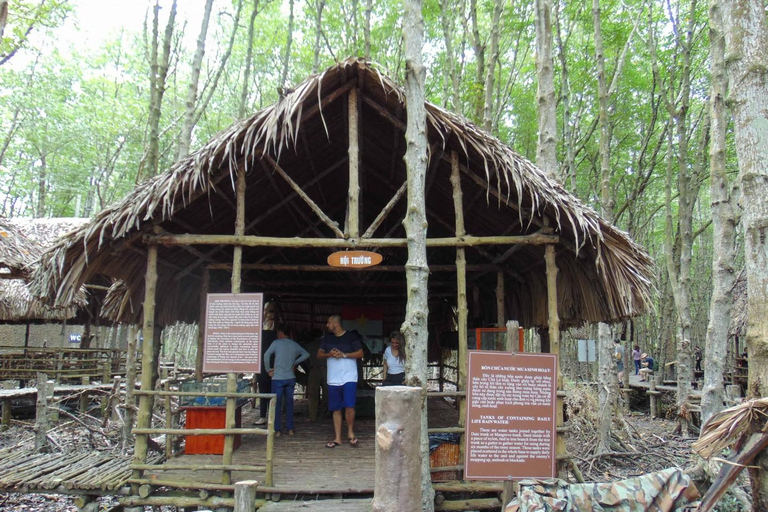 Tour di un giorno della Foresta delle Mangrovie e dell&#039;Isola delle Scimmie di Can Gio