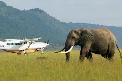 3 Tage Amboseli-Safari mit Luxus-Lodge &amp; Flügen3 Tage Amboseli Flugpaket