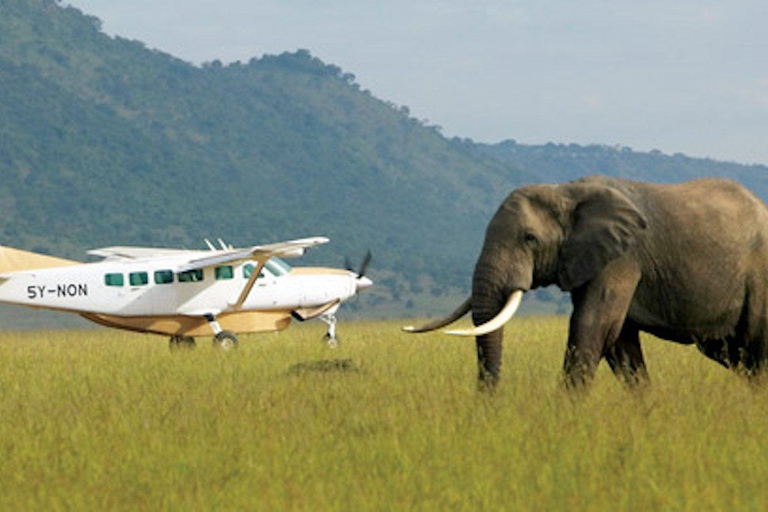 3 Tage Amboseli-Safari mit Luxus-Lodge &amp; Flügen3 Tage Amboseli Flugpaket